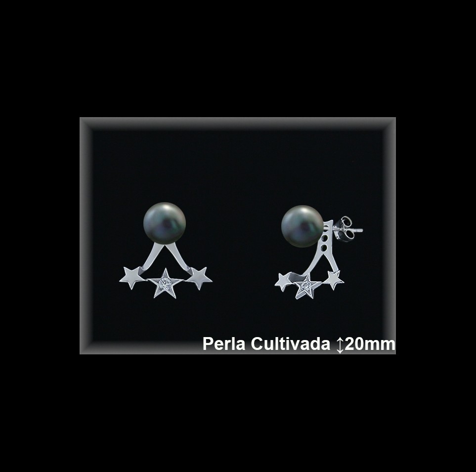 Pendientes de Plata al Por Mayor ref R8629G  Mayorista de pendientes de Plata