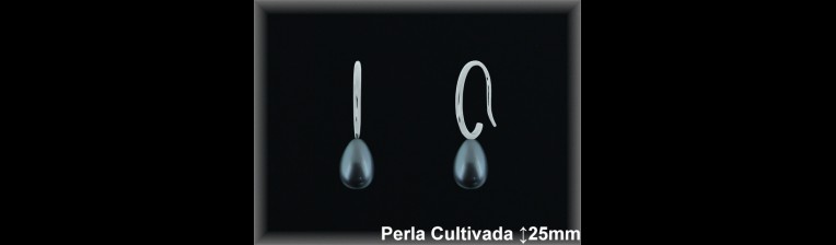 Pendientes de Plata al Por Mayor ref R8636G  Mayorista de pendientes de Plata