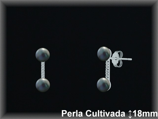 Pendientes de Plata al Por Mayor ref R8637G  Mayorista de pendientes de Plata