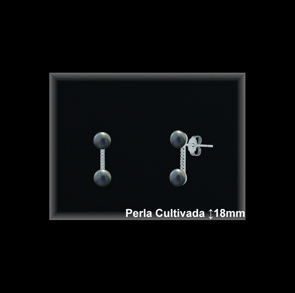 Pendientes de Plata al Por Mayor ref R8637G  Mayorista de pendientes de Plata