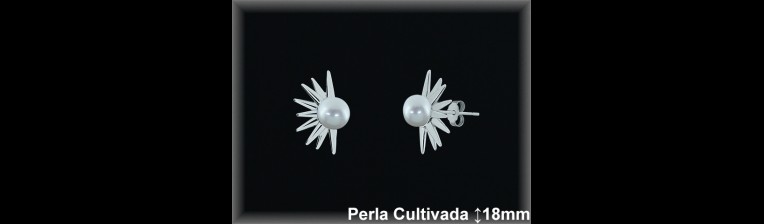 Pendientes de Plata al Por Mayor ref R8655  Mayorista de pendientes de Plata