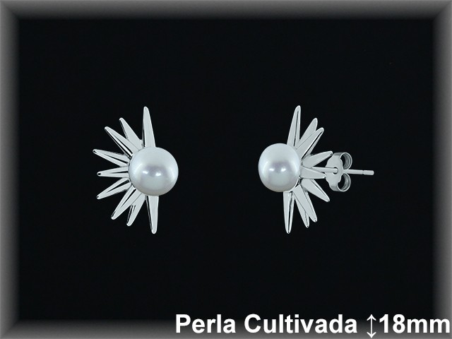 Pendientes de Plata al Por Mayor ref R8655  Mayorista de pendientes de Plata