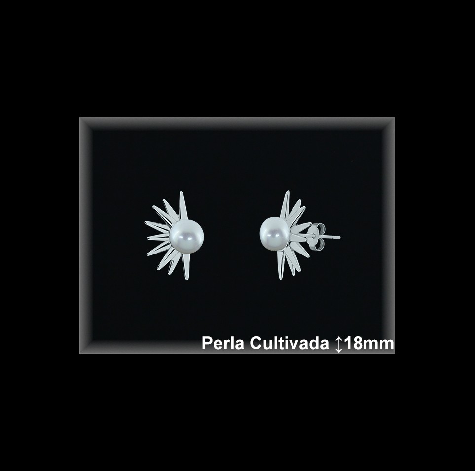 Pendientes de Plata al Por Mayor ref R8655  Mayorista de pendientes de Plata