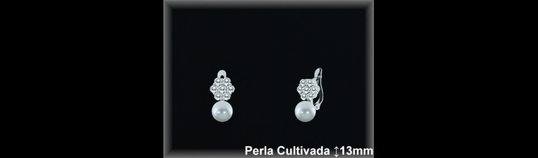 Pendientes de Plata al Por Mayor ref R8684  Mayorista de pendientes de Plata