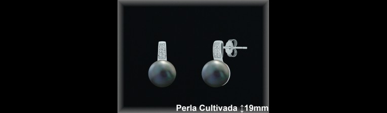 Pendientes de Plata al Por Mayor ref R8666G  Mayorista de pendientes de Plata