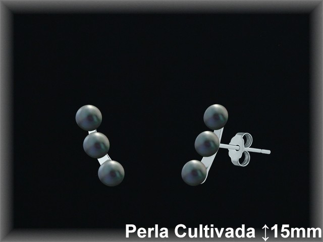 Pendientes de Plata al Por Mayor ref R8656G  Mayorista de pendientes de Plata