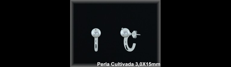 Pendientes de Plata al Por Mayor ref R8667  Mayorista de pendientes de Plata