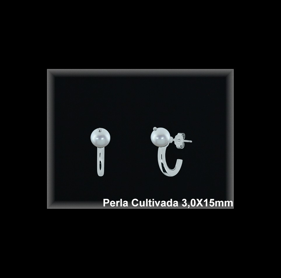 Pendientes de Plata al Por Mayor ref R8667  Mayorista de pendientes de Plata