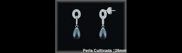 Pendientes de Plata al Por Mayor ref R8514G  Mayorista de pendientes de Plata