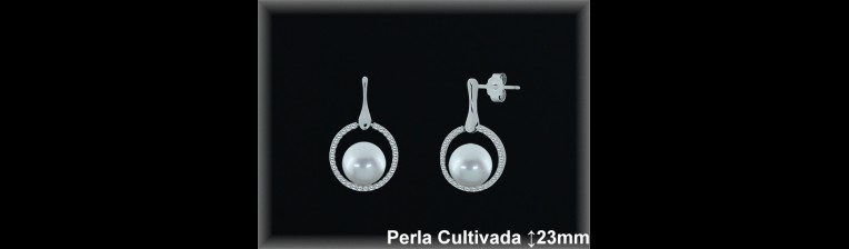 Pendientes de Plata al Por Mayor ref R8624  Mayorista de pendientes de Plata