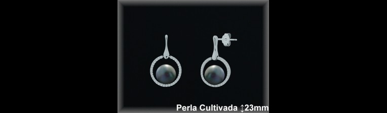Pendientes de Plata al Por Mayor ref R8624G  Mayorista de pendientes de Plata