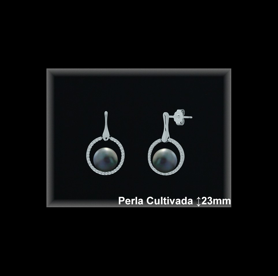 Pendientes de Plata al Por Mayor ref R8624G  Mayorista de pendientes de Plata