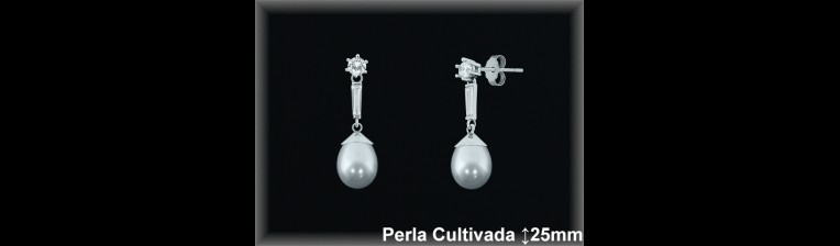 Pendientes de Plata al Por Mayor ref R8663  Mayorista de pendientes de Plata