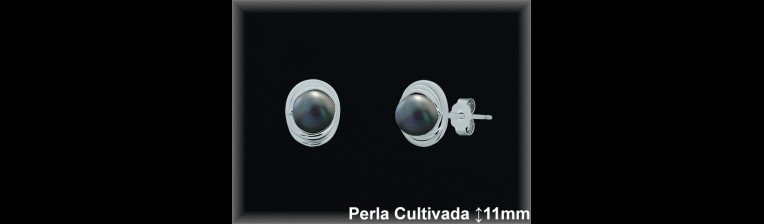 Pendientes de Plata al Por Mayor ref MR009G  Mayorista de pendientes en Plata