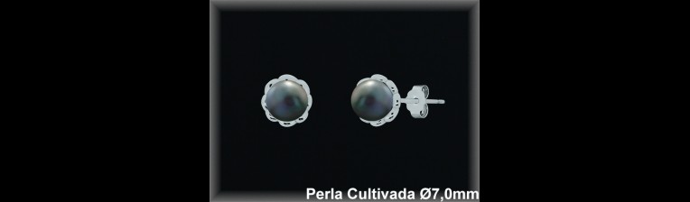 Pendientes de Plata al Por Mayor ref MR019G  Mayorista de pendientes en Plata