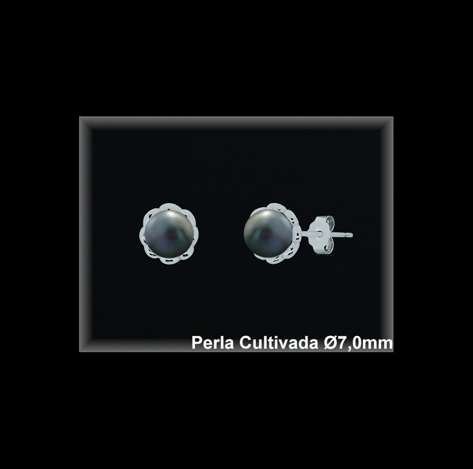 Pendientes de Plata al Por Mayor ref MR019G  Mayorista de pendientes en Plata