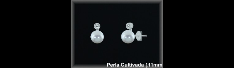 Pendientes de Plata al Por Mayor ref MR024  Mayorista de pendientes en Plata
