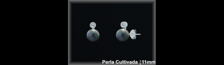 Pendientes de Plata al Por Mayor ref MR024G  Mayorista de pendientes en Plata
