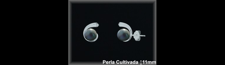 Pendientes de Plata al Por Mayor ref MR025G  Mayorista de pendientes en Plata