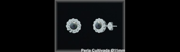 Pendientes de Plata al Por Mayor ref MR039G  Mayorista de pendientes en Plata