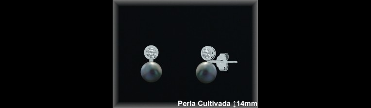 Pendientes de Plata al Por Mayor ref R8479G  Mayorista de pendientes de Plata