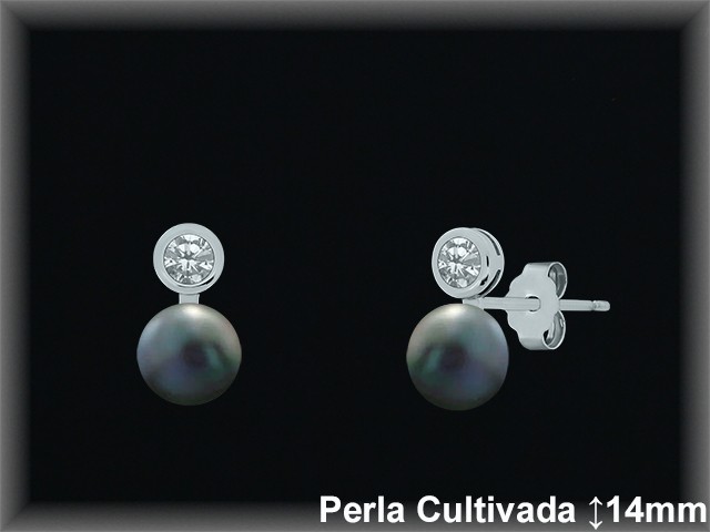 Pendientes de Plata al Por Mayor ref R8479G  Mayorista de pendientes de Plata