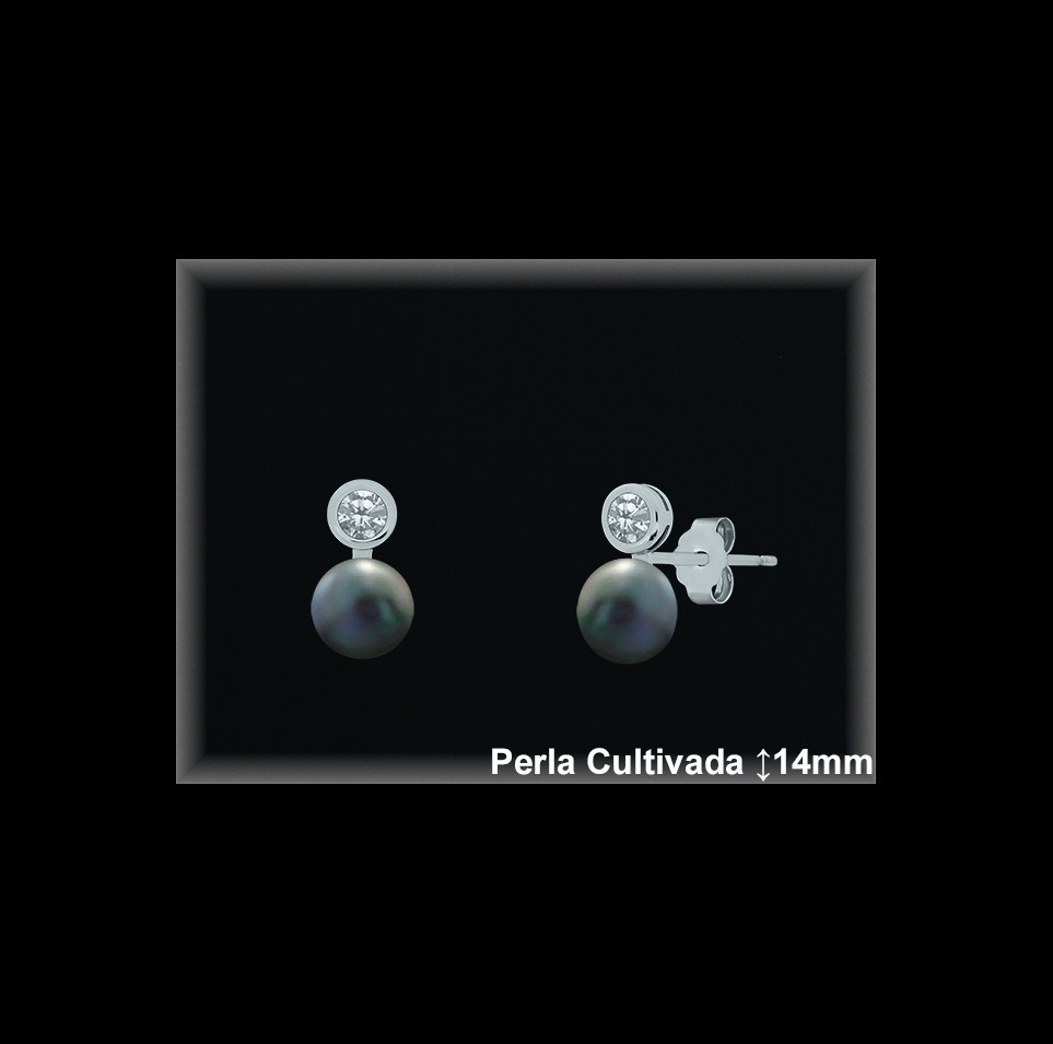 Pendientes de Plata al Por Mayor ref R8479G  Mayorista de pendientes de Plata