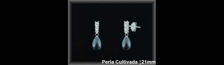 Pendientes de Plata al Por Mayor ref R8480G  Mayorista de pendientes de Plata
