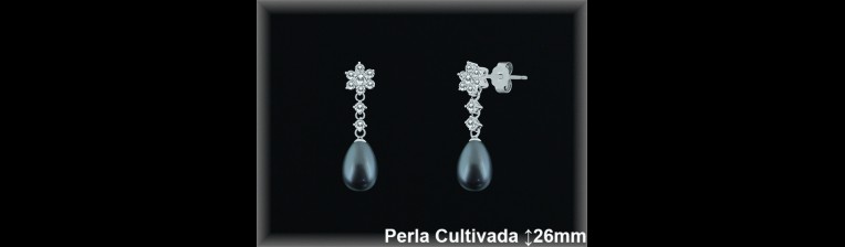 Pendientes de Plata al Por Mayor ref R8481G  Mayorista de pendientes de Plata