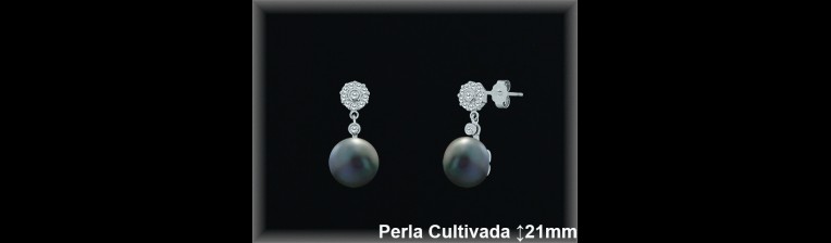 Pendientes de Plata al Por Mayor ref R8485G  Mayorista de pendientes de Plata
