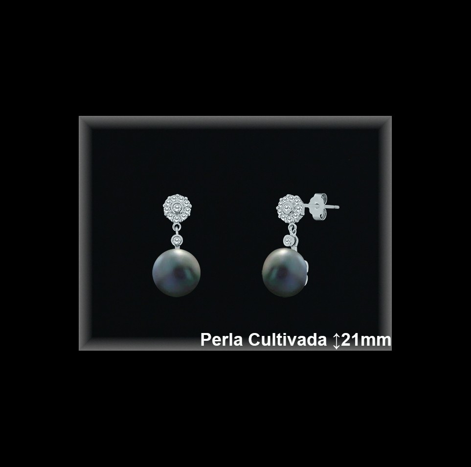 Pendientes de Plata al Por Mayor ref R8485G  Mayorista de pendientes de Plata