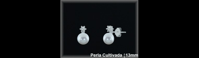Pendientes de Plata al Por Mayor ref R8489  Mayorista de pendientes de Plata