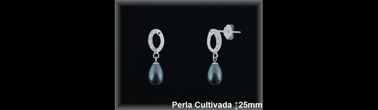 Pendientes de Plata al Por Mayor ref R8521G  Mayorista de pendientes de Plata