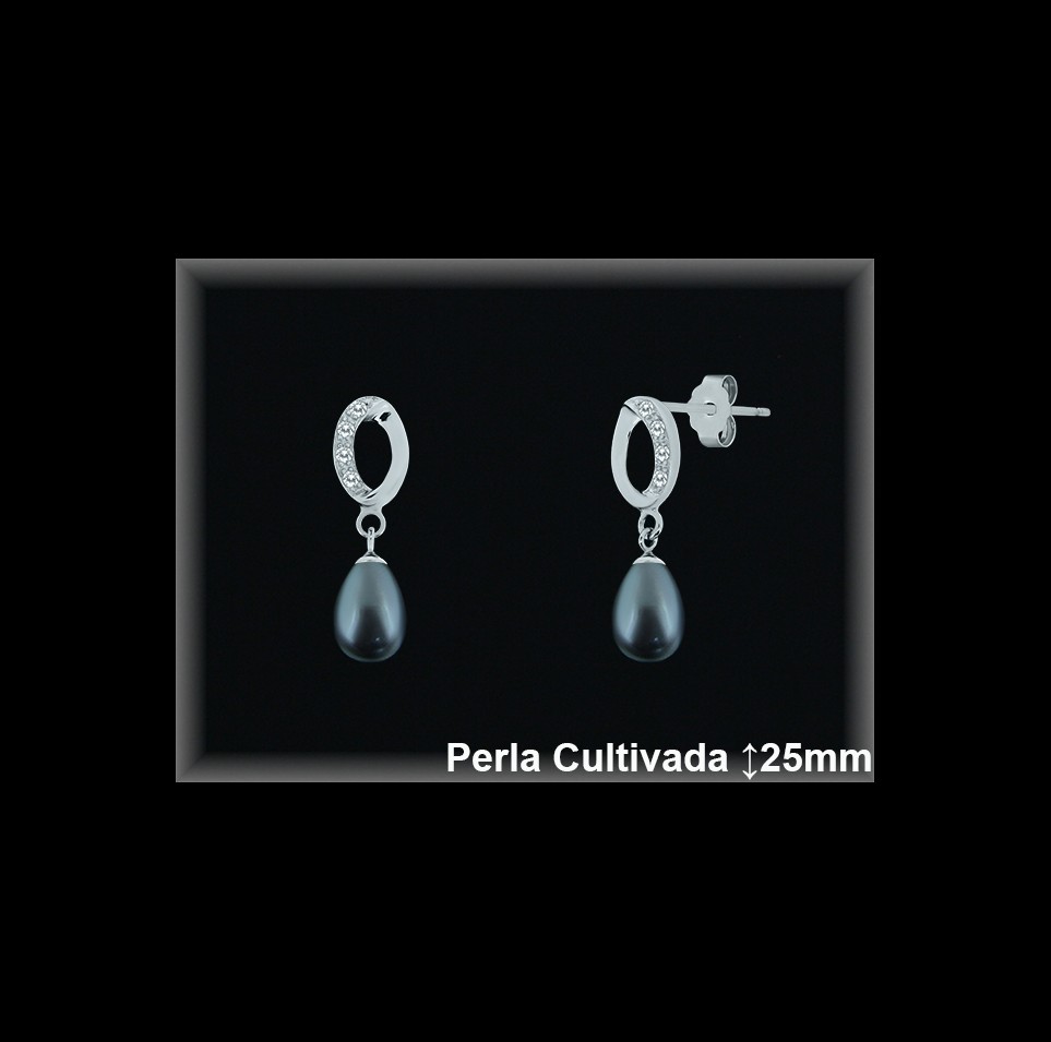 Pendientes de Plata al Por Mayor ref R8521G  Mayorista de pendientes de Plata