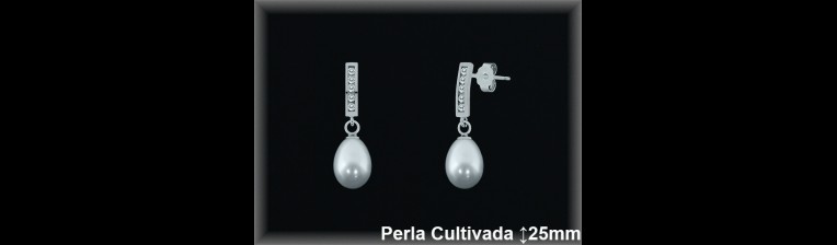 Pendientes de Plata al Por Mayor ref R8523  Mayorista de pendientes de Plata