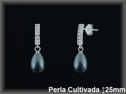 Pendientes de Plata al Por Mayor ref R8523G  Mayorista de pendientes de Plata