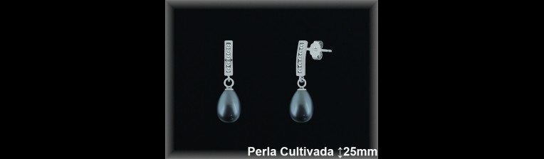 Pendientes de Plata al Por Mayor ref R8523G  Mayorista de pendientes de Plata