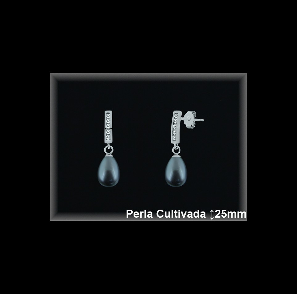 Pendientes de Plata al Por Mayor ref R8523G  Mayorista de pendientes de Plata