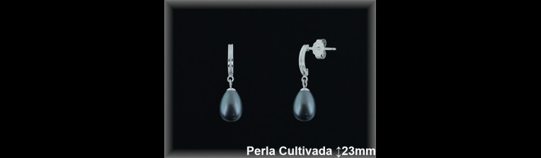 Pendientes de Plata al Por Mayor ref R8566G  Mayorista de pendientes de Plata