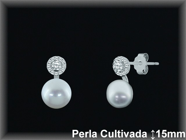 Pendientes de Plata al Por Mayor ref R8569  Mayorista de pendientes de Plata