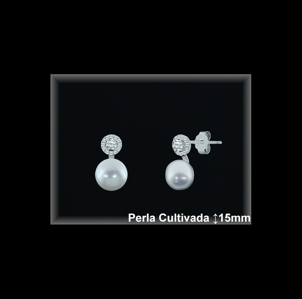 Pendientes de Plata al Por Mayor ref R8569  Mayorista de pendientes de Plata