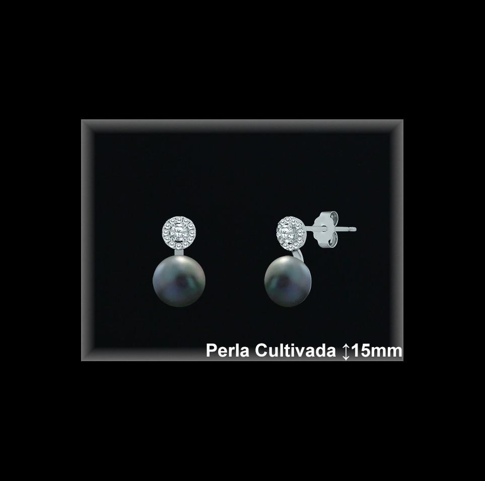 Pendientes de Plata al Por Mayor ref R8569G  Mayorista de pendientes de Plata