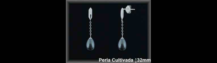 Pendientes de Plata al Por Mayor ref R8579G  Mayorista de pendientes de Plata