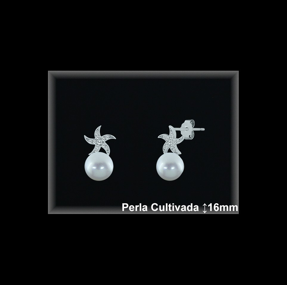 Pendientes de Plata al Por Mayor ref R8605  Mayorista de pendientes de Plata