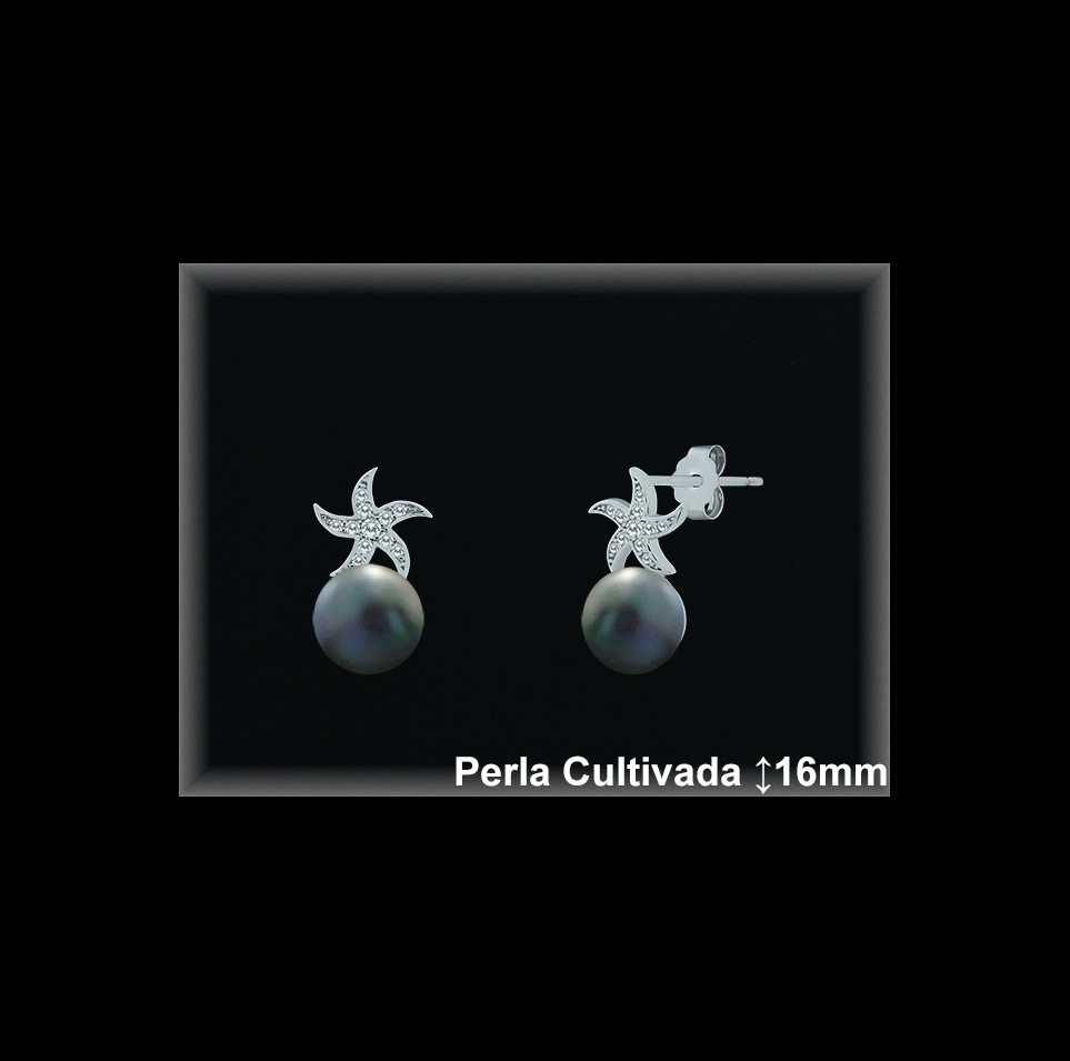 Pendientes de Plata al Por Mayor ref R8605G  Mayorista de pendientes de Plata