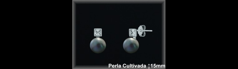 Pendientes de Plata al Por Mayor ref R8606G  Mayorista de pendientes de Plata