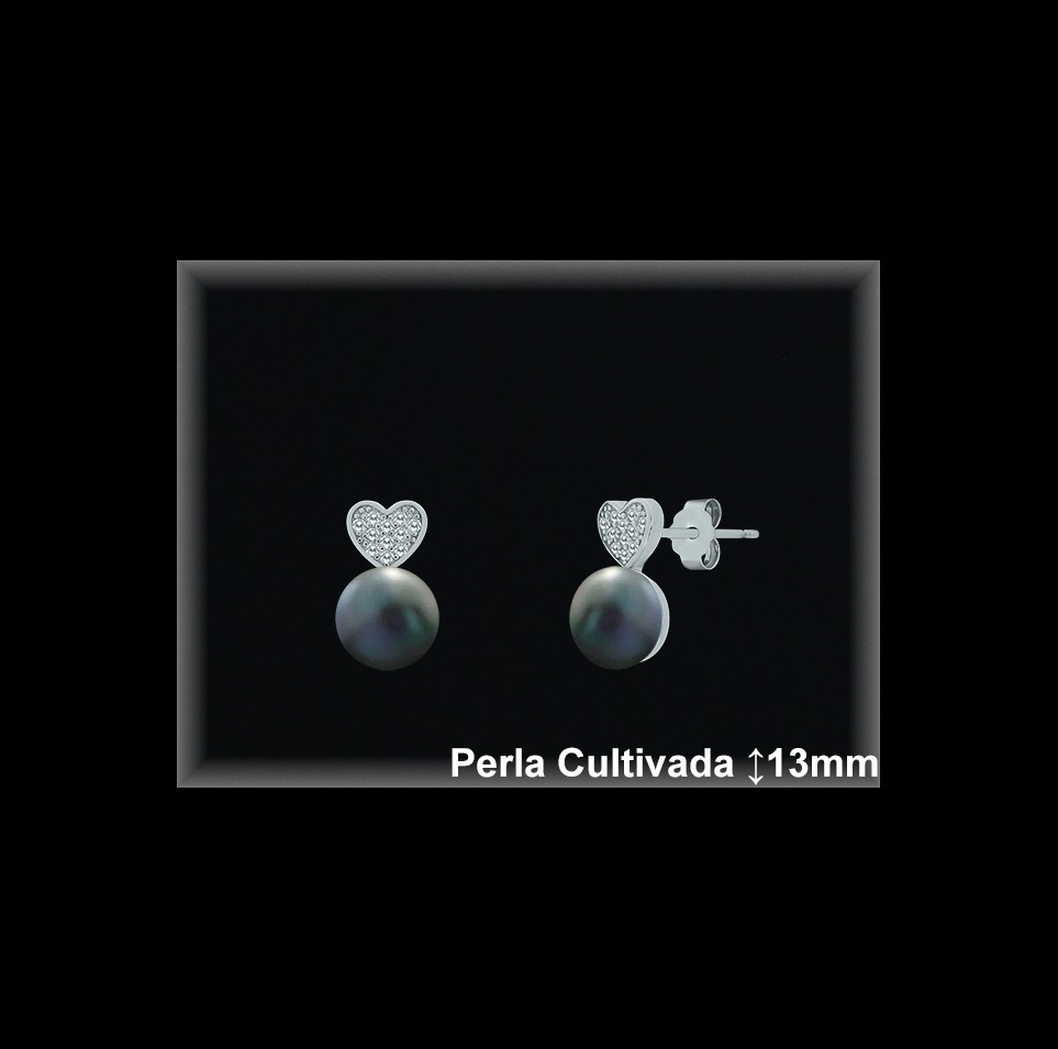 Pendientes de Plata al Por Mayor ref R8622G  Mayorista de pendientes de Plata