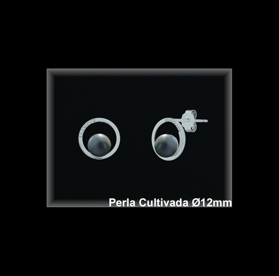 Pendientes de Plata al Por Mayor ref R8623G  Mayorista de pendientes de Plata