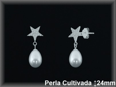 Pendientes de Plata al Por Mayor ref R8632  Mayorista de pendientes de Plata