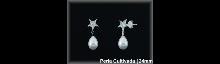 Pendientes de Plata al Por Mayor ref R8632  Mayorista de pendientes de Plata
